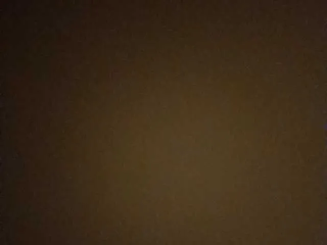 Ellidi – webcam model profile photo Image 19