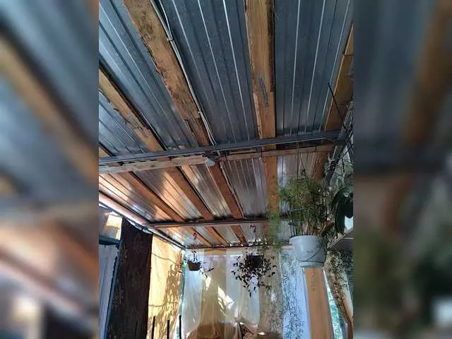 cherry_kissxx – webcam model profile photo Image 7