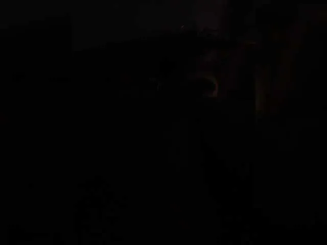 Nice-rats02 – webcam model profile photo Image 2