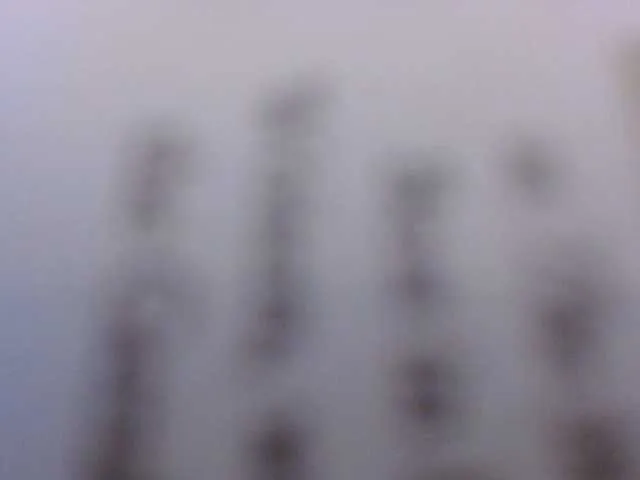 Blissloves Image 8