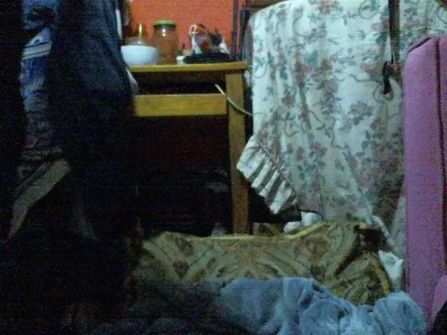 bunnydollstella – webcam model profile photo Image 15
