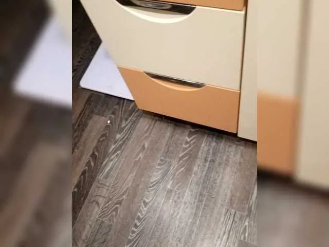 -Breid-1 – webcam model profile photo Image 3