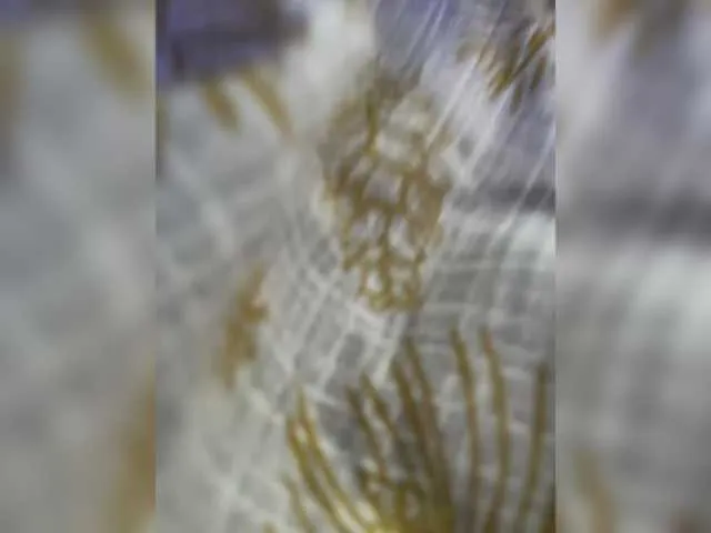 VibeSwet37 – webcam model profile photo Image 3