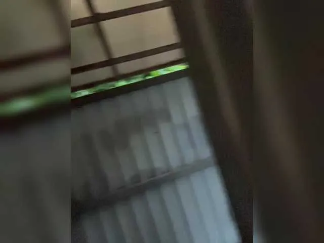 MurkaLux – webcam model profile photo Image 12