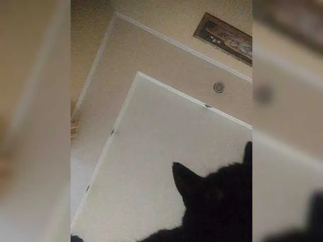 Likachkaa – webcam model profile photo Image 18