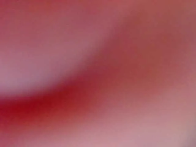 candylux4 – webcam model profile photo Image 14