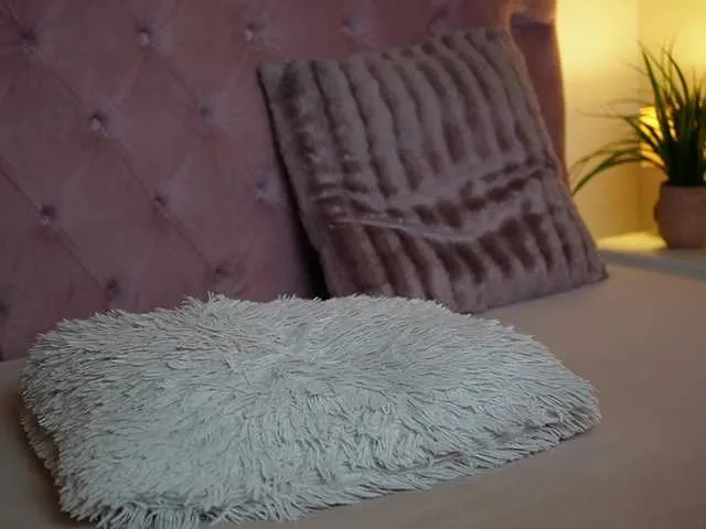 sofiamillerrs – webcam model profile photo Image 16