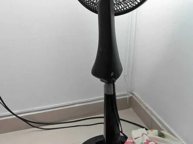 alex_parker07 – webcam model profile photo Image 8