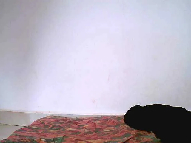 wildtequilla – webcam model profile photo Image 12