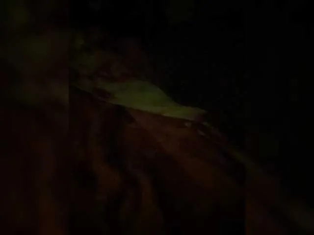 Innokentiy449 – webcam model profile photo Image 2