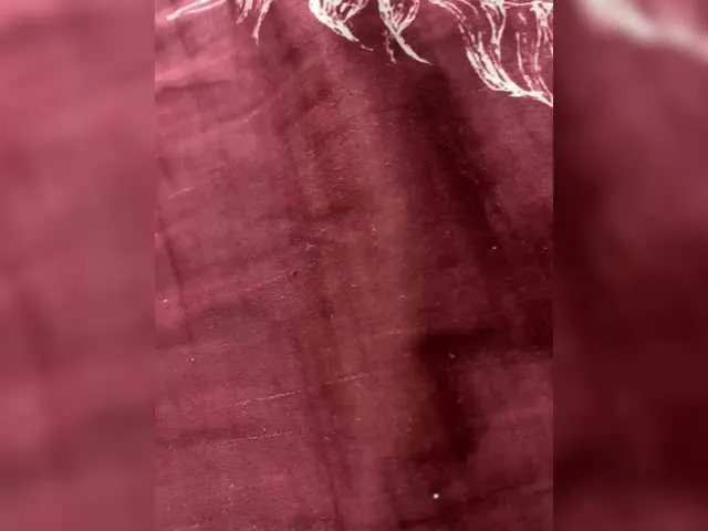 aniiieee_x – webcam model profile photo Image 13