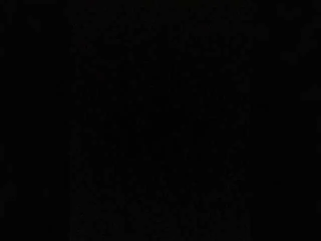 Nikt-1a Image 2