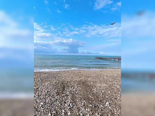 krissone – webcam model profile photo Image 5