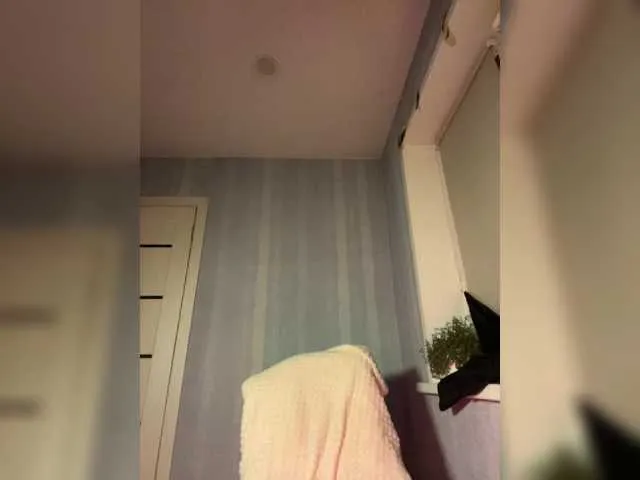 Saliss1 Image 18
