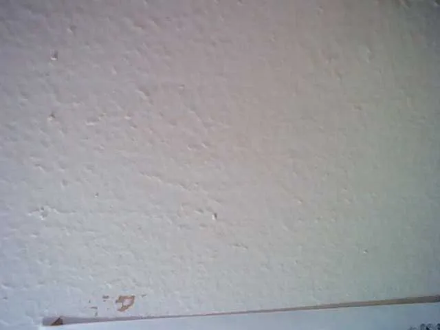 diffgirls1-1 – webcam model profile photo Image 16