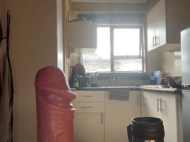 wildtequilla – webcam model profile photo Image 10