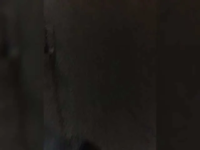 Sonya-Love – webcam model profile photo Image 4