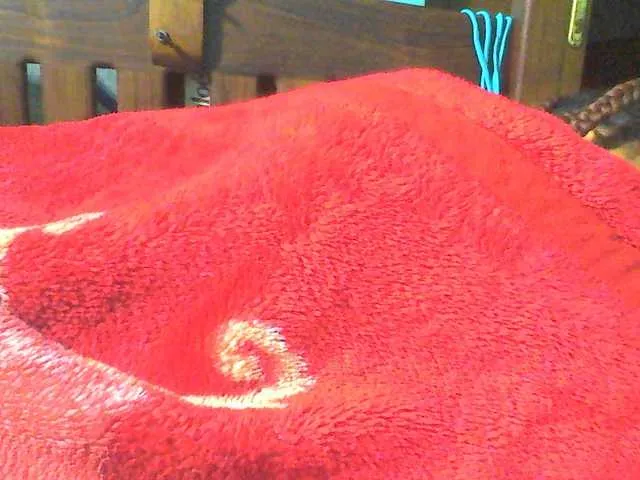 Sweetiepop Image 6