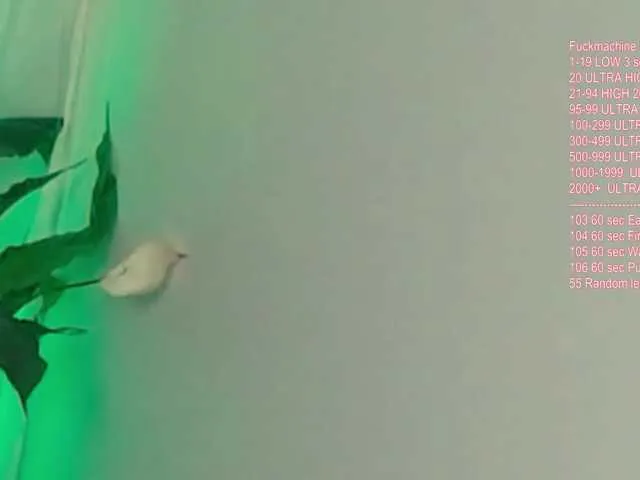 ilovewhitecocksalot – webcam model profile photo Image 8