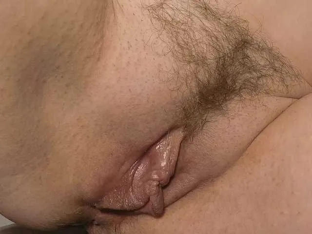 Xollan Image 5