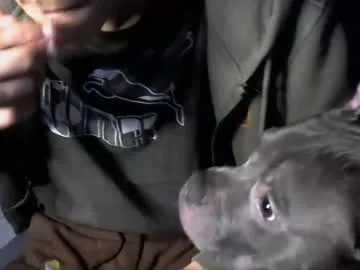 aberachmackay – webcam model profile photo Image 9