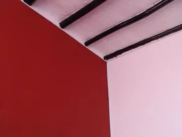 cute_fox_girl – webcam model profile photo Image 13