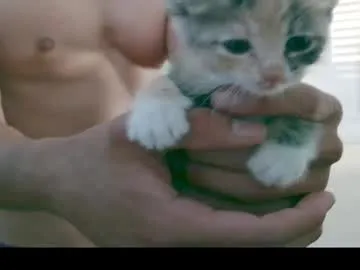 DvaBomja – webcam model profile photo Image 9