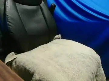 bunnydollstella – webcam model profile photo Image 17