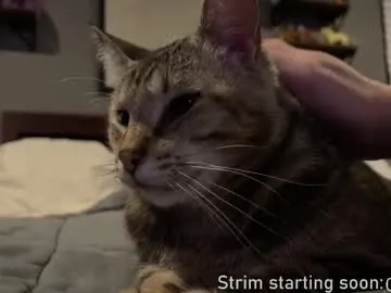 Chelsi16 – webcam model profile photo Image 11