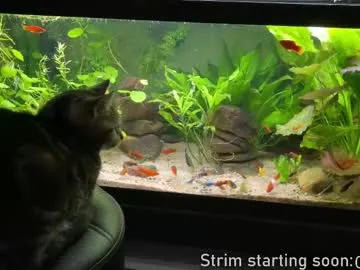 Chelsi16 – webcam model profile photo Image 14