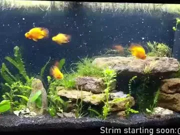 Chelsi16 – webcam model profile photo Image 19