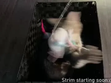 Chelsi16 – webcam model profile photo Image 3