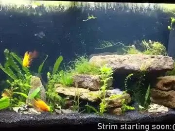 Chelsi16 – webcam model profile photo Image 5