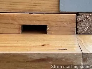 Chelsi16 – webcam model profile photo Image 7