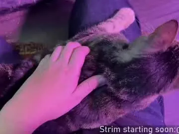 Chelsi16 – webcam model profile photo Image 9