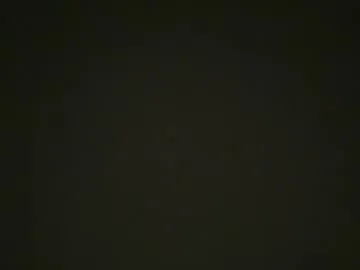braingirl Image 9