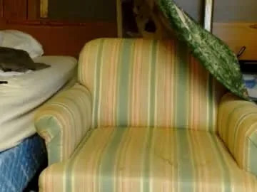 StarKristy – webcam model profile photo Image 17