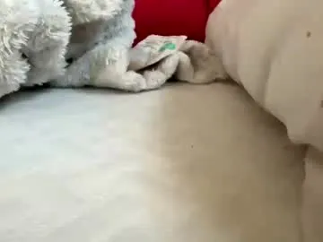 Catsy-Love- – webcam model profile photo Image 5