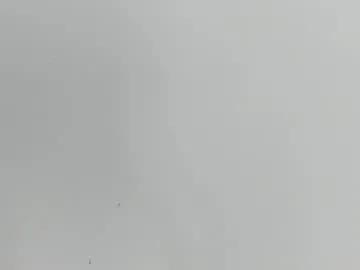 bunnydollstella – webcam model profile photo Image 18