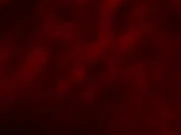 Naughty-Mailey – webcam model profile photo Image 15