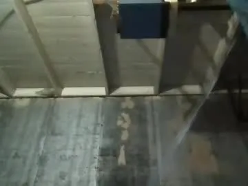 Chelsi16 – webcam model profile photo Image 16