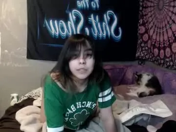 EvaEllis – webcam model profile photo Image 4