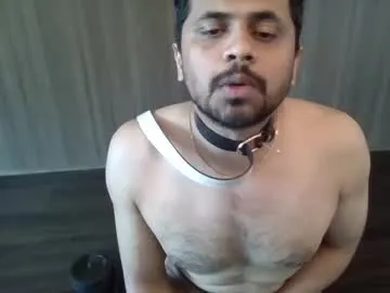 wildpammy – webcam model profile photo Image 13