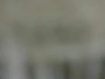 jayny1 – webcam model profile photo Image 18