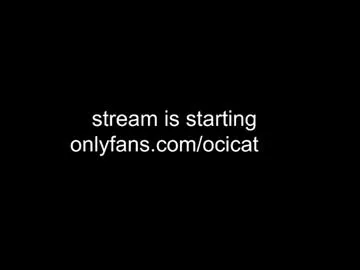 ocicat Image 18