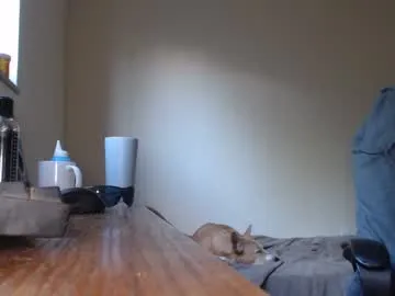 WhoreRobot – webcam model profile photo Image 6