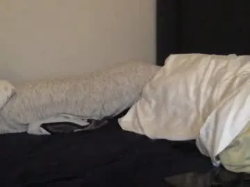 NickiMaldini – webcam model profile photo Image 13