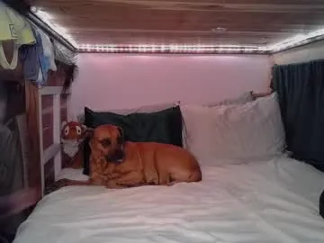 your_dolls – webcam model profile photo Image 8