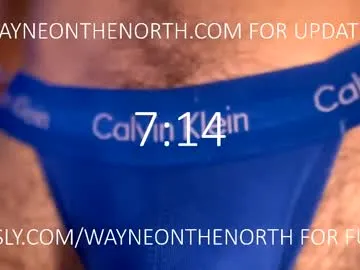 waynenorth Image 16