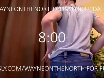 waynenorth Image 9